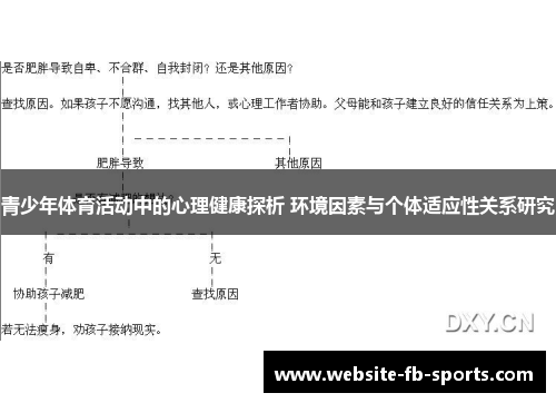 青少年体育活动中的心理健康探析 环境因素与个体适应性关系研究 青少年体育活动中的心理健康探析 环境因素与个体适应性关系研究