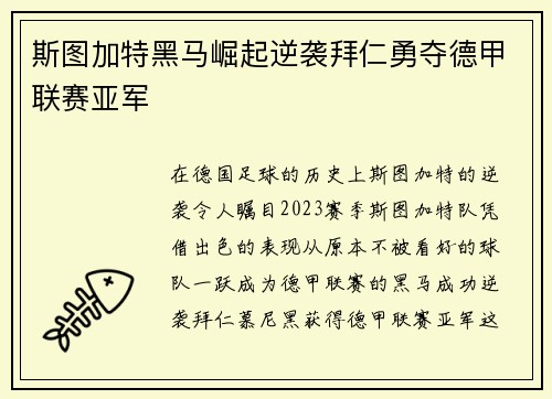 斯图加特黑马崛起逆袭拜仁勇夺德甲联赛亚军 斯图加特黑马崛起逆袭拜仁勇夺德甲联赛亚军